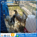 China supplier Galvanized Hexagonal Wire Mesh/Hexagonal metal mesh/hexagonal mesh